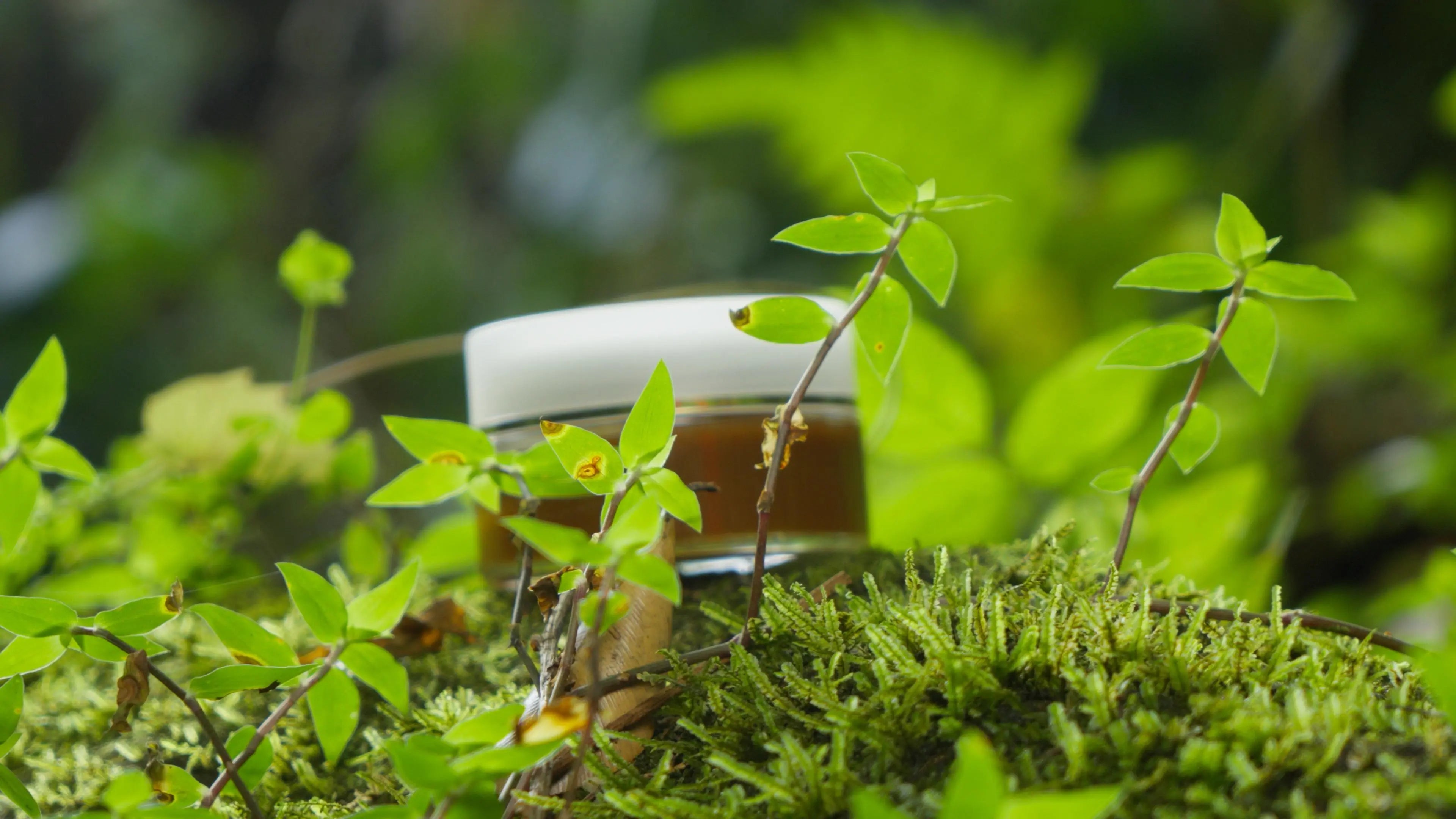 L'Authentique Ma boutique